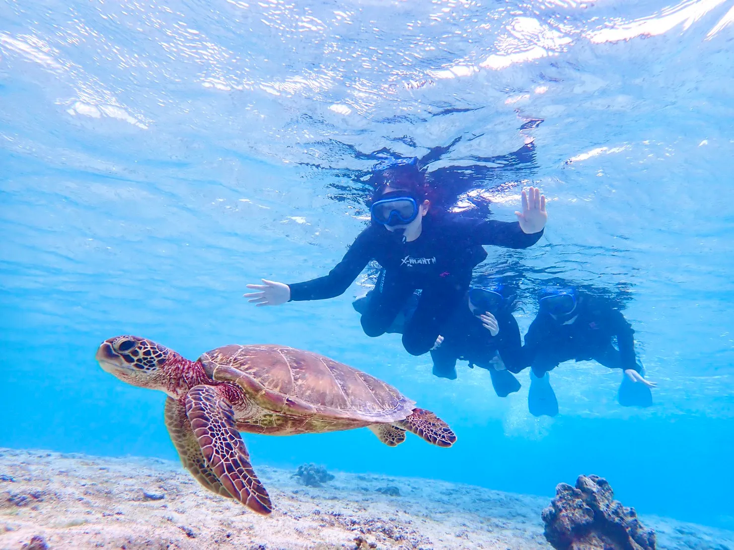 多彩なアクティビティ